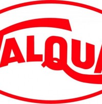 VALQUA GASKET